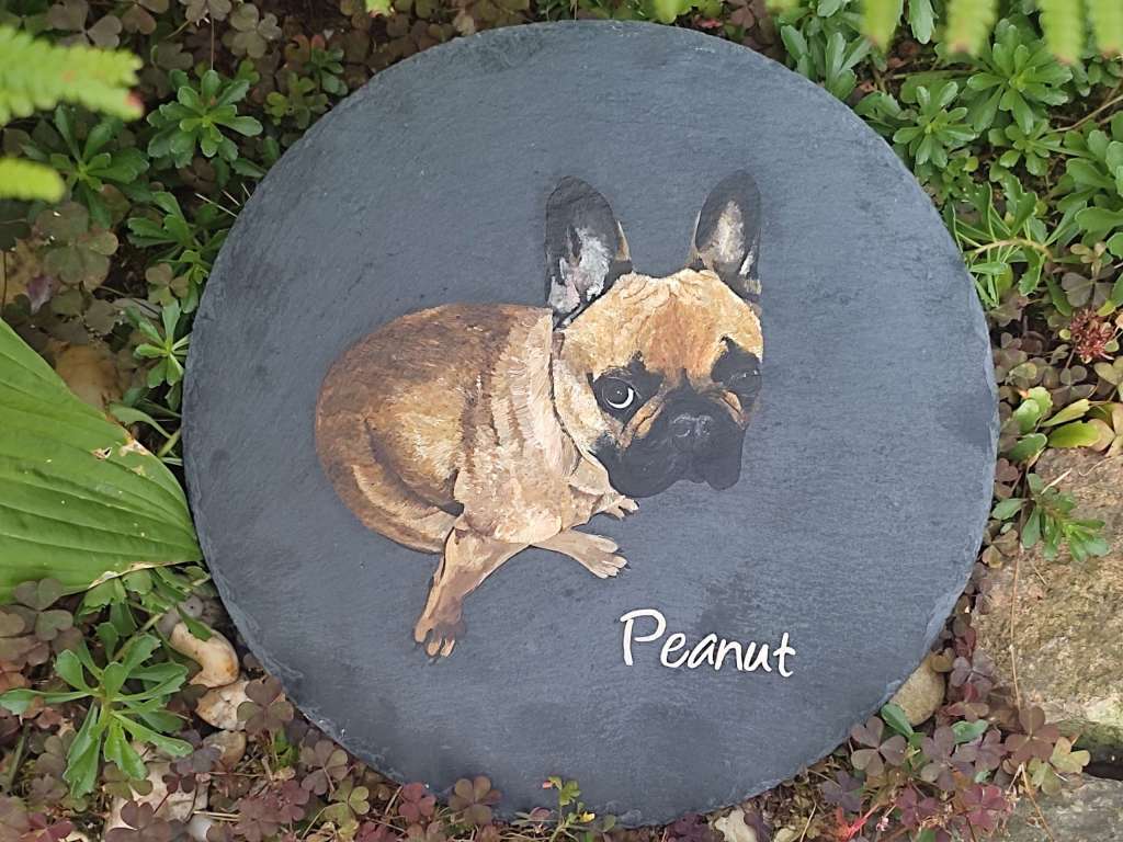 Hund Peanut auf Schieferplatte 20 cm