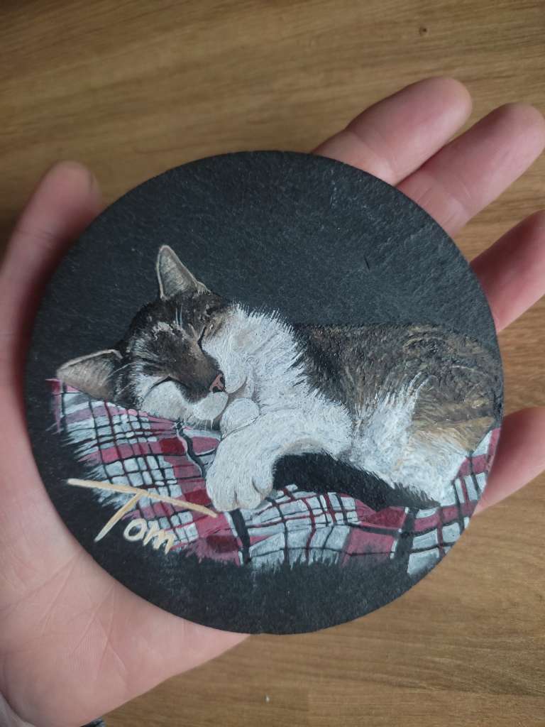 Katze Tom Schieferplatte 10cm
